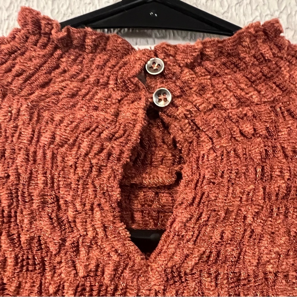 Deletta Anthropologie Rust Amana Burnout Sheer Smocked Mock Neck Top size small - Picture 8 of 13
